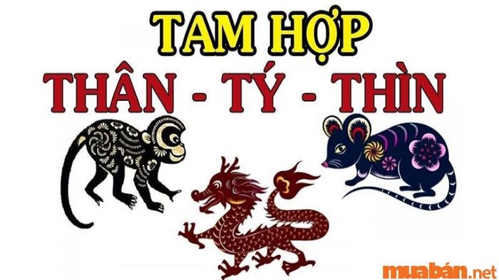 Tuổi Canh Thân xây nhà năm 2024 sẽ gặp phải hạn Tam Tai.