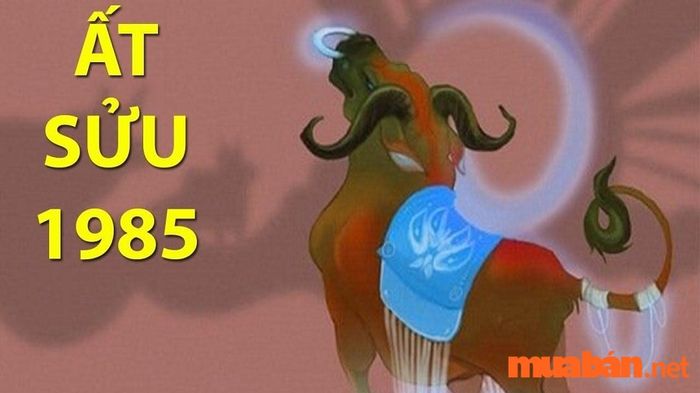 Tử vi tuổi Sửu 1985