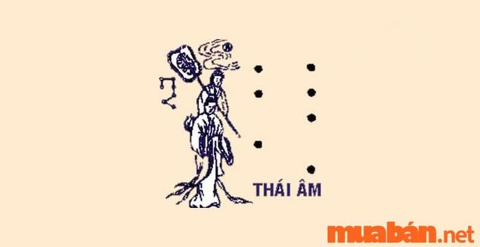 Tử vi Tân Dậu 1981 nam mạng năm 2024 cần chú ý đến sao Thái Âm và cách hóa giải.