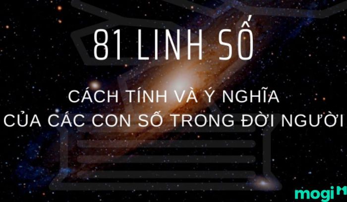 Linh Số 81 Trong Phong Thủy Có Ý Nghĩa Như Thế Nào?