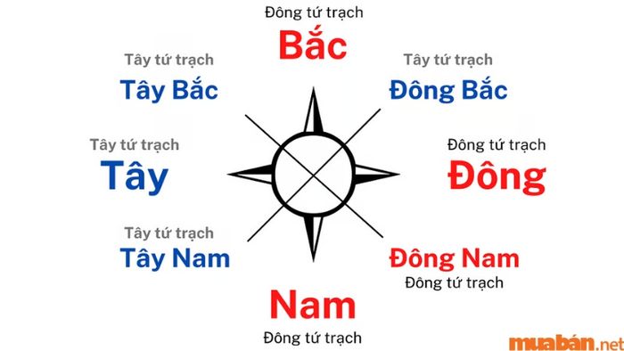 Đông Tứ Trạch là một trong các hướng trong phong thủy Bát Quái, bao gồm bốn cung: Khảm, Chấn, Tốn và Ly.