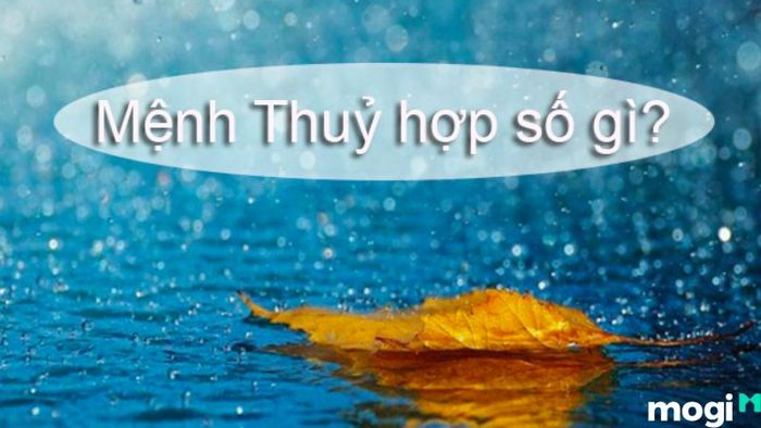 Hướng dẫn cách chọn tên công ty theo phong thủy