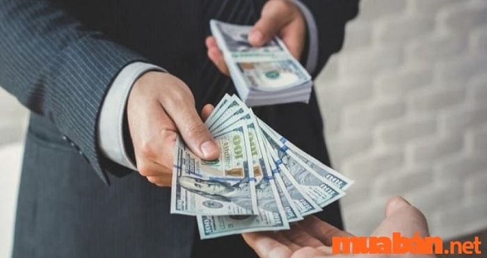 Tử vi Tân Dậu 1981 nam mạng năm 2024 cho thấy nhiều cơ hội tài lộc và sự thịnh vượng