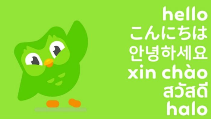 Hướng dẫn tải Duolingo trên máy tính miễn phí với phiên bản cập nhật mới nhất năm 2024