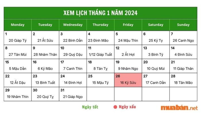 Khám phá luận giải chi tiết ngày 26/1/2024