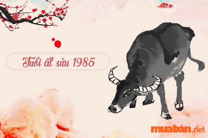 Tử vi của người tuổi Ất Sửu 1985
