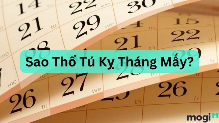 Sao Thổ Tú kỵ tháng mấy?