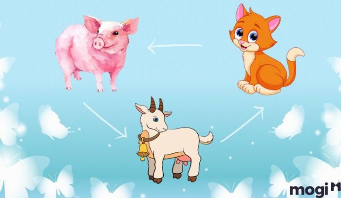 Hợi là con gì - Sự kết hợp tam hợp đối với người tuổi Hợi