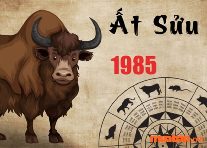 tử vi tuổi sửu 1985