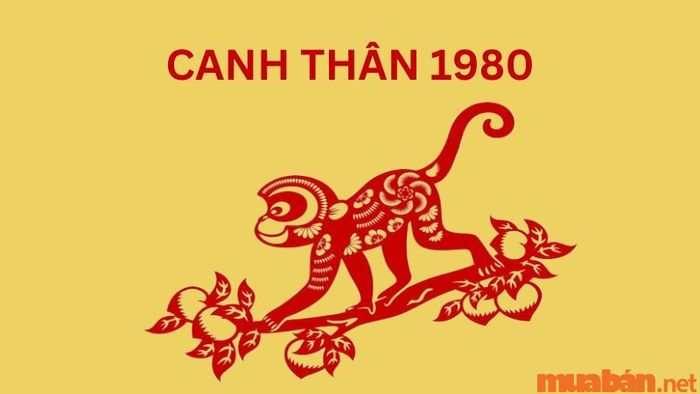 Tuổi Canh Thân 1980 trong năm 2024: Những điều cần biết