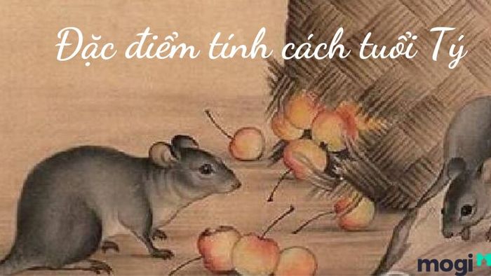 Tuổi Tý là con gì?