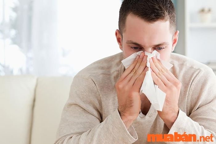 Tử vi nam mạng Tân Dậu 1981 năm 2024 cho thấy sức khỏe ổn định nhưng thỉnh thoảng bị cảm cúm
