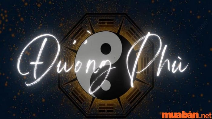 Tìm hiểu sao Đường Phù trong cung mệnh