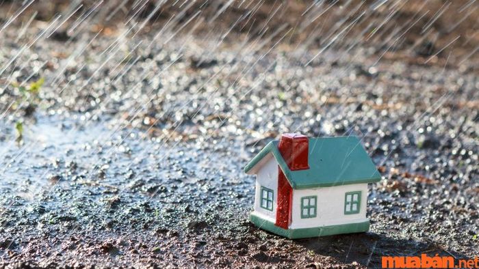 tuổi Ngọ hợp với những hướng nào?