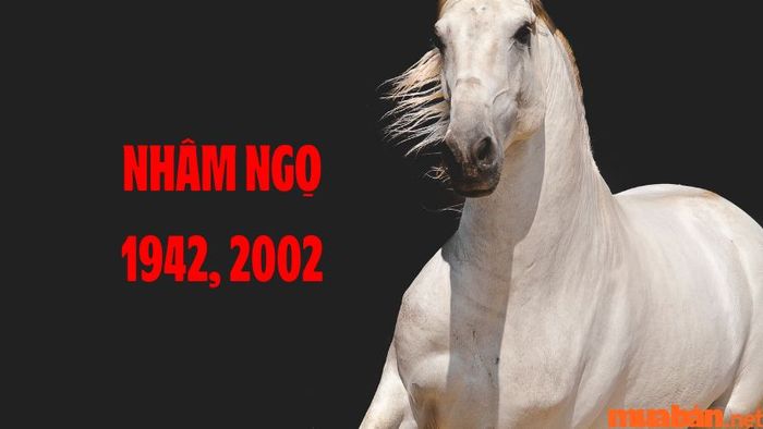 tuổi Ngọ hợp với những hướng nào?