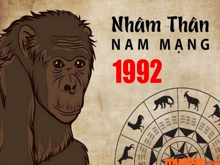 Tài chính Nhâm Thân 1992