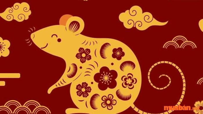 Người sinh năm 1972 (theo dương lịch từ 15/02/1972 đến 02/02/1973) mang tuổi Nhâm Tý, tức tuổi con chuột.