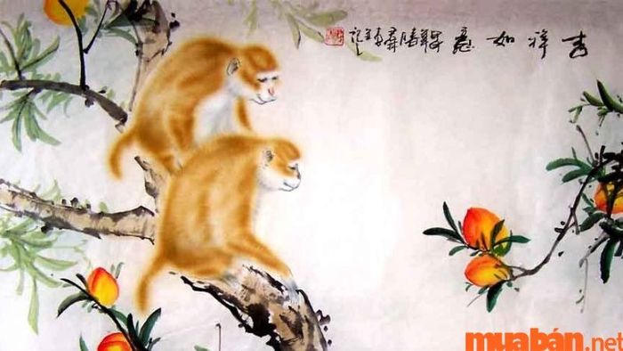 Tử vi 12 tháng năm 2024 của tuổi Nhâm Thân 1992