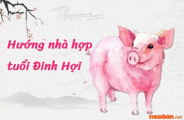 Hướng nhà phù hợp với tuổi Đinh Hợi