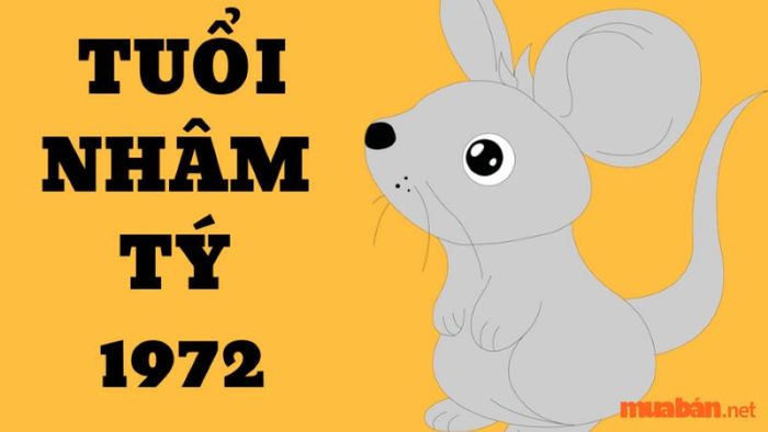 Người sinh năm 1972 thuộc cung gì?