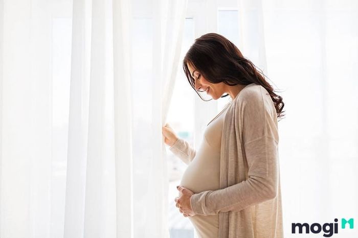 Không nên sử dụng sâm đất đối với phụ nữ đang mang thai