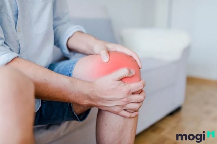 Sâm đất có tác dụng giảm thiểu các cơn đau nhức xương khớp