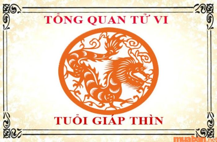 Một số thông tin cơ bản về tuổi Giáp Thìn và hướng nhà hợp phong thủy.