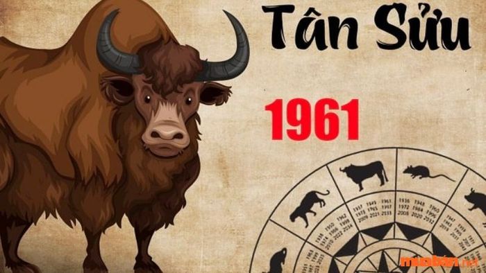 Hướng nhà nào hợp với tuổi Tân Sửu giúp thu hút tài lộc và thịnh vượng? Tìm hiểu thêm trong bài viết dưới đây.