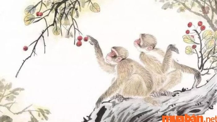 Sức khỏe Nhâm Thân 1992