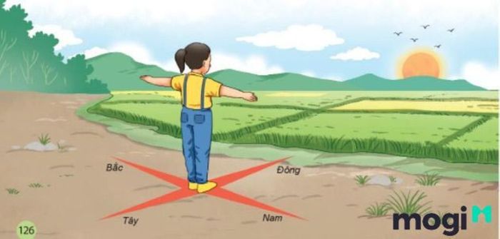 Xác định phương hướng bằng bóng đổ