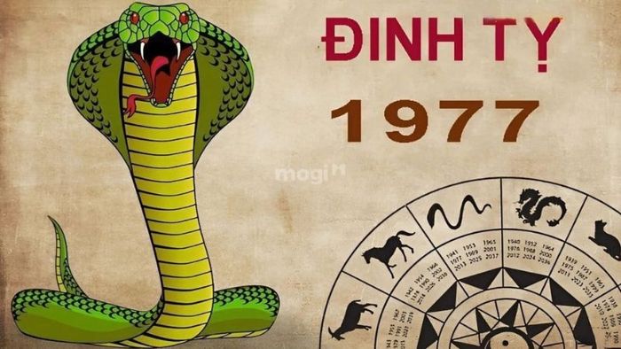 Khái quát về tuổi Đinh Tỵ 1977