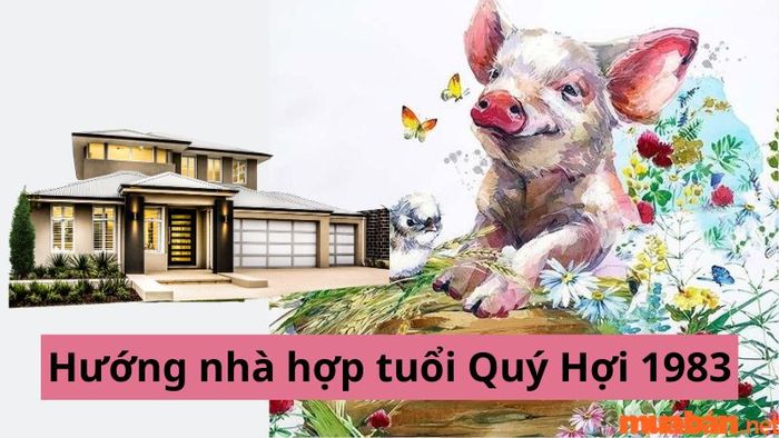 Hướng nhà hợp với tuổi Quý Hợi 1983
