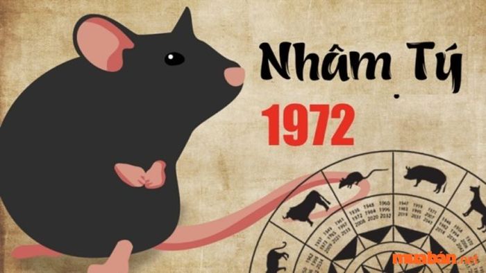 Những tuổi hợp với người sinh năm 1972