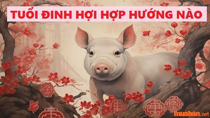 Tuổi Đinh Hợi và các hướng hợp phong thủy