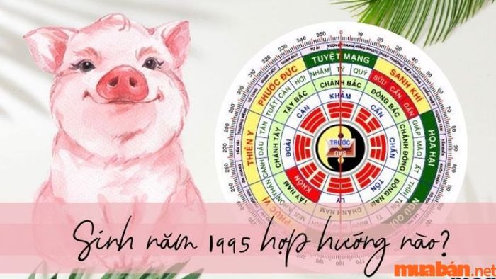 Hướng nhà hợp với tuổi Kỷ Hợi 1959