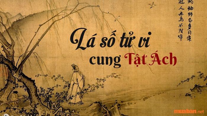 Ý nghĩa sao Địa Không đóng tại cung Tật Ách thể hiện những khó khăn liên quan đến sức khỏe và thể trạng của người sở hữu, tạo ra những cản trở lớn trong cuộc sống hàng ngày.