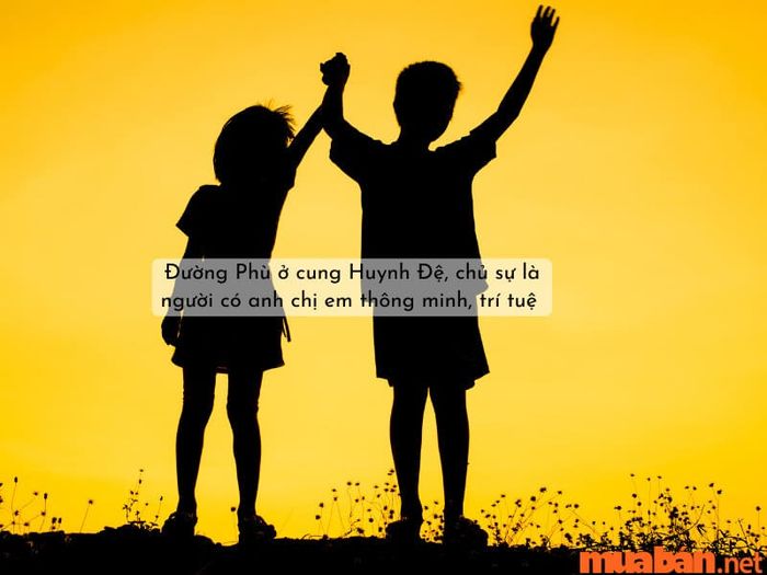 Sao Đường Phù trong cung Huynh Đệ thường biểu thị một mối quan hệ anh chị em bền chặt, nơi các thành viên trong gia đình đều sở hữu học thức vững vàng, với phong cách tự tin và đáng tin cậy. Các anh chị em này thường xuyên hỗ trợ lẫn nhau trong mọi hoàn cảnh, thể hiện sự yêu thương và giúp đỡ nhau không ngừng trong cuộc sống gia đình.