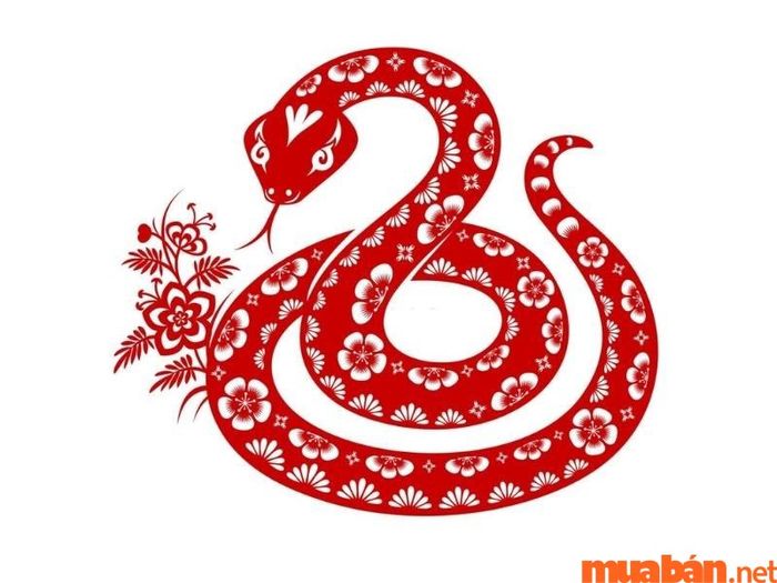 Vận niên của Nhâm Thân