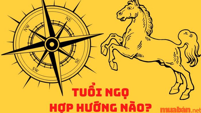 Hướng nhà hợp với tuổi Ngọ là gì?