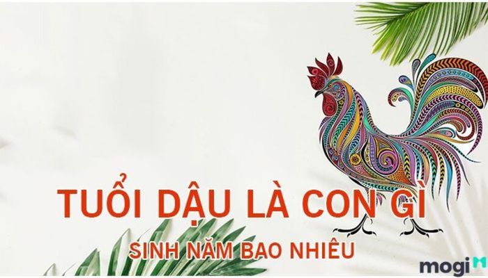 Tuổi Dậu là con gì? Câu trả lời là con gà, một loài vật rất quen thuộc trong đời sống nông thôn Việt Nam và đứng thứ 10 trong danh sách 12 con giáp. 