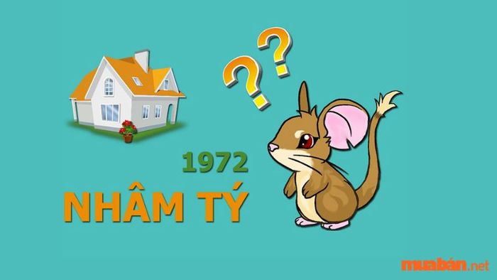 Hướng xây nhà phù hợp cho người sinh năm Nhâm Tý 1972 là gì?