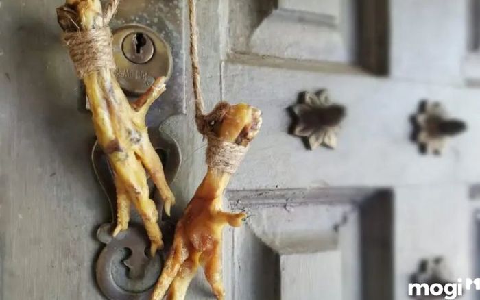 Sử dụng chân gà như một vật phẩm để xua đuổi tà ma trong nhà.