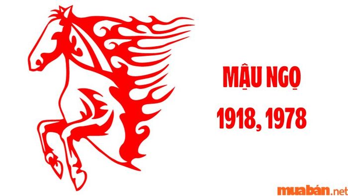 Tuổi Ngọ hợp hướng nào? – Tìm hiểu về tuổi Mậu Ngọ.