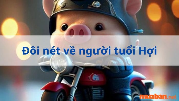 Tổng quan về người tuổi Hợi
