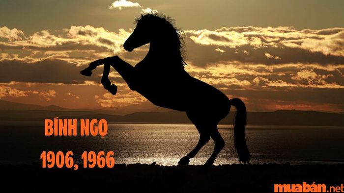 Hướng nhà phù hợp với tuổi Ngọ là gì?