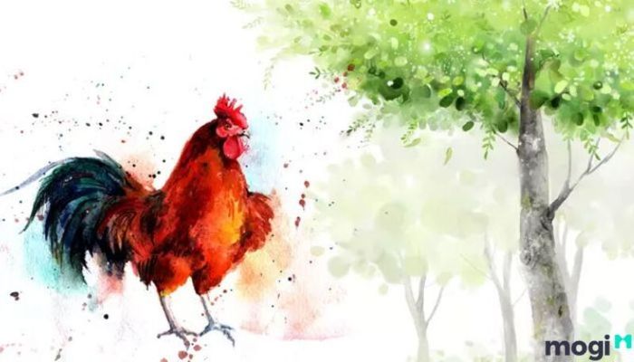 Tuổi Dậu Là Con Gì?