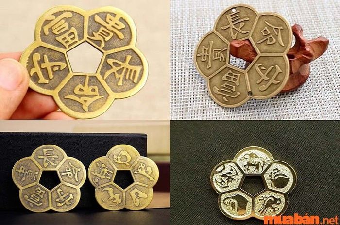 Đặt đồng tiền hoa mai bên cạnh két sắt giúp thu hút nhiều may mắn và tài lộc.