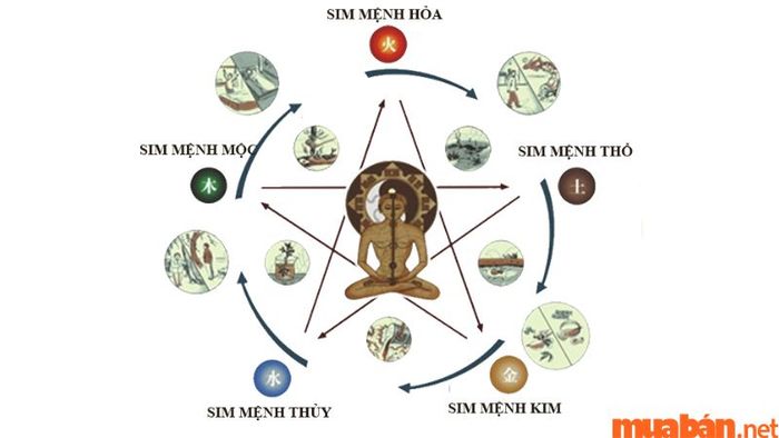 Đánh giá mức độ phù hợp và khắc khổ của sim với mệnh phong thuỷ của chủ sở hữu