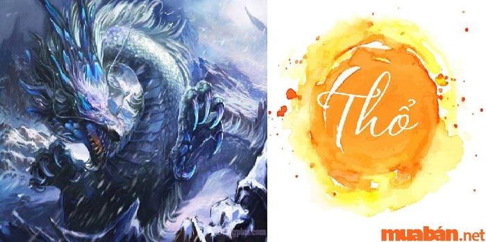 Tuổi Thìn thuộc hành Thổ.