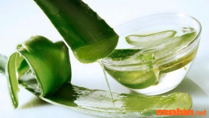 Việc đắp lô hội giúp lông mày đen và rậm hơn, đồng thời cũng giúp làm mềm và dưỡng ẩm cho vùng da này.